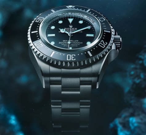 rolex sea-dweller titanium|rolex sea dweller price guide.